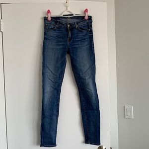 7 for all mankind “the skinny”